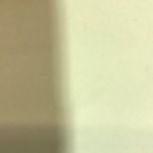 Meet your Posher, Joey